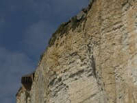 F, Seine-Maritime, Saint-Pierre-en-Port 22, Saxifraga-Willem van Kruijsbergen