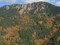 GR, Anatoliki Makedonia kai Thraki, Xanthi, Frakto 40, Saxifraga-Dirk Hilbers