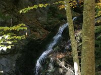 GR, Anatoliki Makedonia kai Thraki, Xanthi, Frakto 44, Saxifraga-Dirk Hilbers