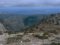 GR, Chios, Chios, Mont Oros 1, Saxifraga-Jan van der Straaten