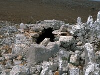 GR, Chios, Chios, Panagias 7, Saxifraga-Jan van der Straaten