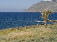 GR, Crete, Lasithi, Mohlos 10, Saxifraga-Jan van der Straaten