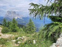 I, Belluno, Cibiana di Cadore, Monte Rite 2, Saxifraga-Foto Fitis-Sytske Dijksen