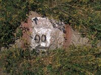 I, Pistoia, Abetone, Cervinaria 2,tif Saxifraga-Jan van der Straaten