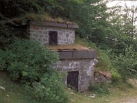 I, Pistoia, Abetone, La Verginetta 8, Saxifraga-Jan van der Straaten