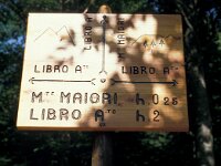 I, Pistoia, Abetone, Mt Maiori 1, Saxifraga-Jan van der Straaten