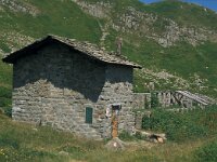 I, Pistoia, Abetone, Rifugio Lago Nero 1, Saxifraga-Jan van der Straaten