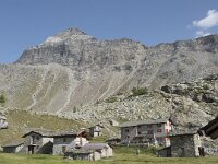 I, Sondrio, Lanzada, Rifugio Cristina 10, Saxifraga-Willem van Kruijsbergen