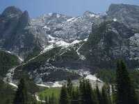 I, Sued Tirol, Canazei, Gran Vernel 2, Saxifraga-Annemiek Bouwman