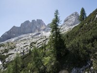 I, Sued Tirol, Canazei, Marmolada 6, Saxifraga-Willem van Kruijsbergen