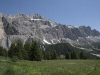 I, Sued Tirol, Canazei, Sas de Pordoi 1, Saxifraga-Willem van Kruijsbergen