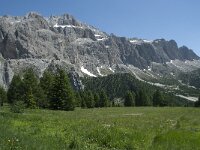 I, Sued Tirol, Canazei, Sas de Pordoi 5, Saxifraga-Annemiek Bouwman