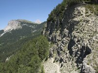 I, Sued Tirol, Sankt Ulrich, Balest 14, Saxifraga-Willem van Kruijsbergen