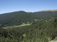 I, Sued Tirol, Sankt Ulrich, Balest 3, Saxifraga-Willem van Kruijsbergen