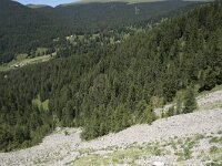 I, Sued Tirol, Sankt Ulrich, Balest 5, Saxifraga-Willem van Kruijsbergen