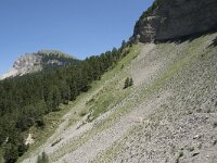 I, Sued Tirol, Sankt Ulrich, Balest 7, Saxifraga-Willem van Kruijsbergen