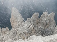 I, Sued-Tirol, Prags, Duerrenstein 1, Saxifraga-Luuk Vermeer