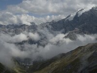 I, Sued-Tirol, Stelvio National Park, Sulden, Ortler 4, Saxifraga-Jan van der Straaten