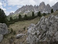 I, Sued-Tirol, Wolkenstein, Groedner Joch 20, Saxifraga-Willem van Kruijsbergen