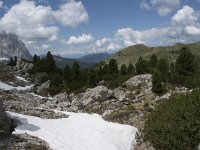 I, Sued-Tirol, Wolkenstein, Groedner Joch 24, Saxifraga-Willem van Kruijsbergen