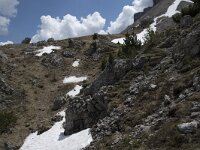 I, Sued-Tirol, Wolkenstein, Groedner Joch 29, Saxifraga-Willem van Kruijsbergen