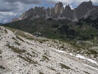 I, Sued-Tirol, Wolkenstein, Groedner Joch 46, Saxifraga-Willem van Kruijsbergen
