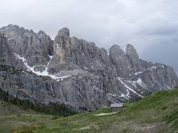 I, Sued-Tirol, Wolkenstein, Groedner Joch 54, Saxifraga-Willem van Kruijsbergen