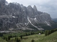 I, Sued-Tirol, Wolkenstein, Groedner Joch 56, Saxifraga-Willem van Kruijsbergen