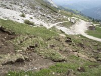 I, Sued-Tirol, Wolkenstein, Groedner Joch 60, Saxifraga-Willem van Kruijsbergen