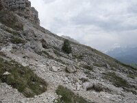 I, Sued-Tirol, Wolkenstein, Groedner Joch 61, Saxifraga-Willem van Kruijsbergen