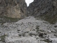 I, Sued-Tirol, Wolkenstein, Groedner Joch 62, Saxifraga-Willem van Kruijsbergen