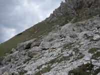 I, Sued-Tirol, Wolkenstein, Groedner Joch 63, Saxifraga-Willem van Kruijsbergen