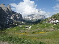 I, Sued-Tirol, Wolkenstein, Groedner Joch 71, Saxifraga-Annemiek Bouwman