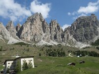 I, Sued-Tirol, Wolkenstein, Groedner Joch 77, Saxifraga-Annemiek Bouwman