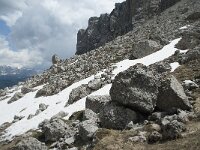 I, Sued-Tirol, Wolkenstein, Groedner Joch 89, Saxifraga-Annemiek Bouwman