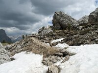 I, Sued-Tirol, Wolkenstein, Groedner Joch 90, Saxifraga-Annemiek Bouwman