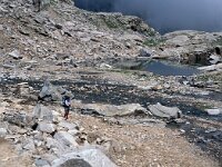 I. Valle d'Aosta, Rhemes-Notre Dame, Colle della Porta 5, Saxifraga-Jan van der Straaten