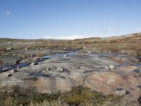 N, Buskerud, Hol, Fagerheim 17, Saxifraga-Willem van Kruijsbergen