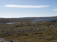 N, Buskerud, Hol, Fagerheim 4, Saxifraga-Willem van Kruijsbergen