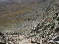 N, Buskerud, Hol, Prestholtseter 27, Saxifraga-Willem van Kruijsbergen