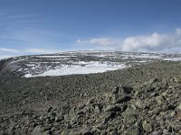 N, Buskerud, Hol, Prestholtskaret 24, Saxifraga-Willem van Kruijsbergen