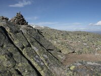 N, Buskerud, Hol, Prestholtskaret 31, Saxifraga-Willem van Kruijsbergen