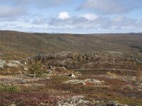 N, Buskerud, Hol, Tuva turisthytte 1, Saxifraga-Willem van Kruijsbergen