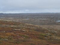 N, Buskerud, Hol, Tuva turisthytte 117, Saxifraga-Annemiek Bouwman