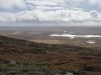 N, Buskerud, Hol, Tuva turisthytte 5, Saxifraga-Willem van Kruijsbergen