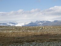 N, Hordaland, Eidfjord, Dyranut 18, Saxifraga-Willem van Kruijsbergen