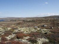 N, Hordaland, Eidfjord, Dyranut 26, Saxifraga-Willem van Kruijsbergen