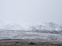 N, Innlandet, Oystre Slidre, Valdresflya 13, Saxifraga-Willem van Kruijsbergen