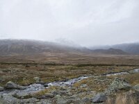 N, Innlandet, Oystre Slidre, Valdresflya 2, Saxifraga-Willem van Kruijsbergen