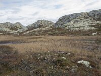 N, Innlandet, Sel, Klufttjonne 22, Saxifraga-Willem van Kruijsbergen